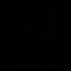 Meet your Posher, Angelica